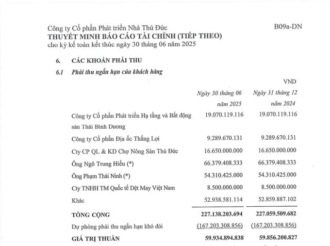 Trước t&igrave;nh h&igrave;nh t&agrave;i ch&iacute;nh đ&aacute;ng lo ngại, TDH đang nỗ lực khắc phục bằng nhiều biện ph&aacute;p.