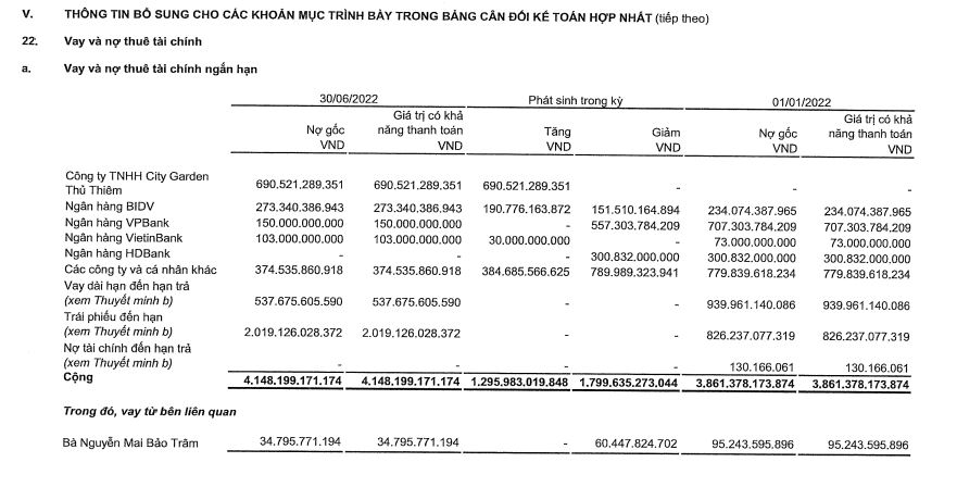 D&#242;ng tiền thuần tại CII &#39;&#226;m nặng&#39;, hơn 139 tỷ đồng nợ xấu - Ảnh 3