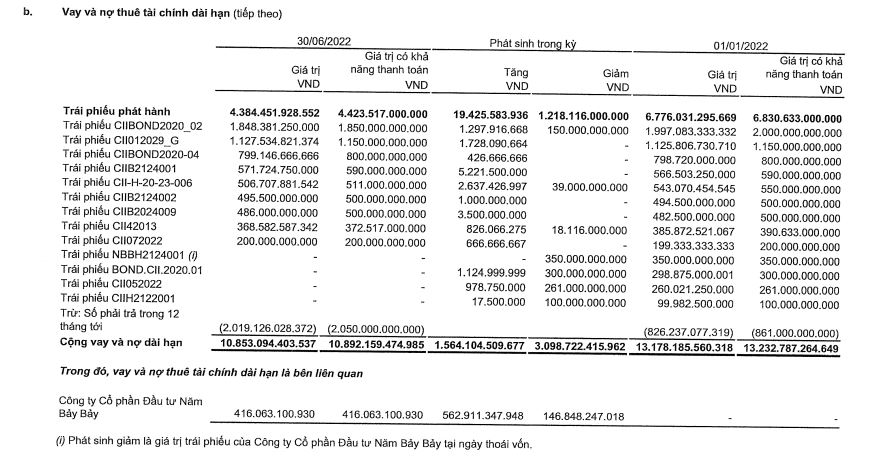D&#242;ng tiền thuần tại CII &#39;&#226;m nặng&#39;, hơn 139 tỷ đồng nợ xấu - Ảnh 5