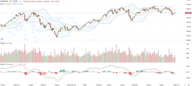 Xu hướng phục hồi của thị trường chứng khoán chưa rõ ràng - Ảnh 1