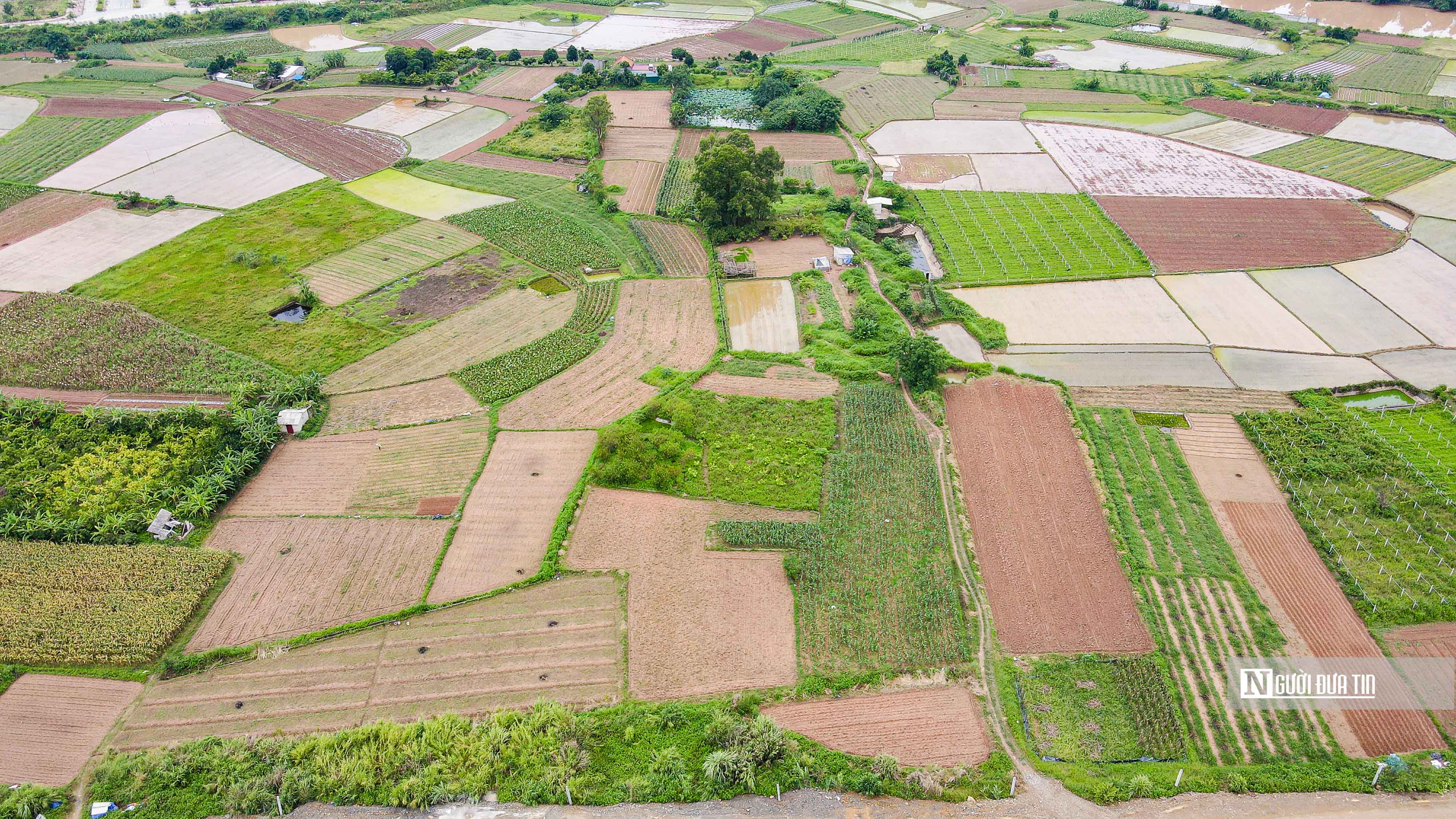 &Ocirc;ng Nguyễn Văn Hạnh - Chủ tịch UBND Tp.Lạng Sơn cho biết, UBND TP Lạng Sơn đ&atilde; ph&aacute;t hiện c&oacute; sai s&oacute;t trong qu&aacute; tr&igrave;nh tham mưu, thực hiện dự &aacute;n n&agrave;y. Kết quả r&agrave; so&aacute;t sổ địa ch&iacute;nh v&agrave; hồ sơ biến động cho thấy tổng diện t&iacute;ch đất l&uacute;a bị thu hồi, chuyển đổi trong dự &aacute;n l&agrave; 18,39 ha, kh&ocirc;ng phải 8,38 ha như số liệu thống k&ecirc; trước đ&oacute;.