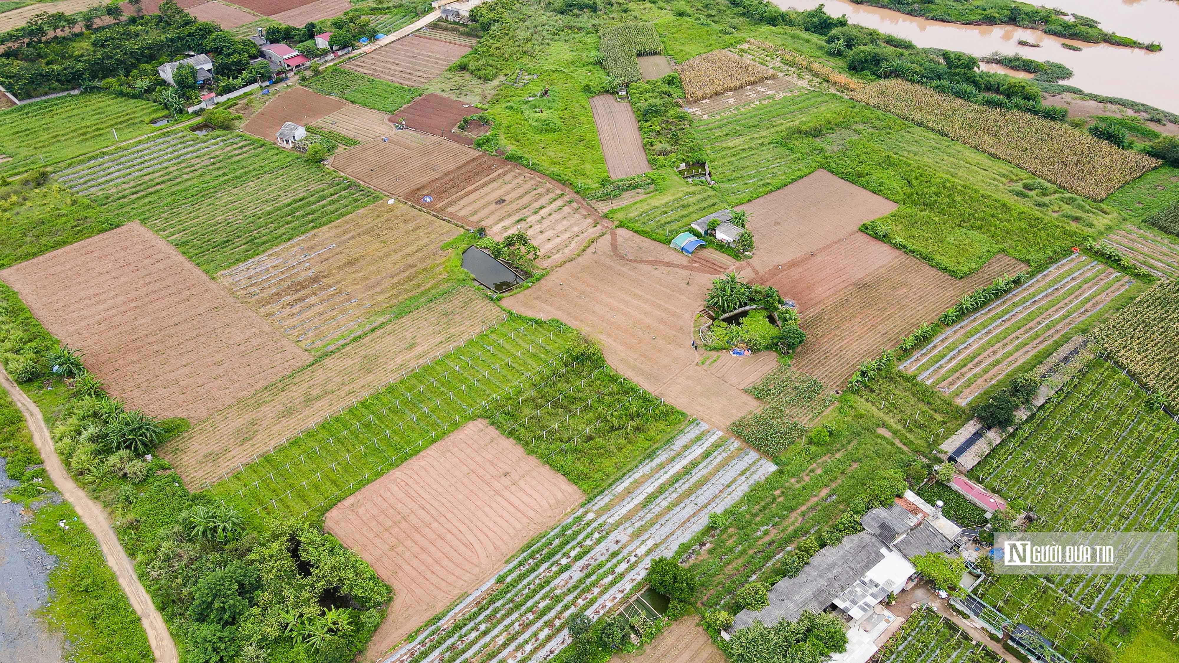 &ldquo;Nếu lấy đất để x&acirc;y trường học, bệnh viện, đất quốc ph&ograve;ng an ninh hay nh&agrave; ở x&atilde; hội th&igrave; ch&uacute;ng t&ocirc;i đồng thuận. Tuy nhi&ecirc;n, đ&acirc;y l&agrave; dự &aacute;n khu đ&ocirc; thị. Ch&uacute;ng t&ocirc;i mất hết đất sản xuất m&agrave; chỉ được đền b&ugrave; c&oacute; v&agrave;i chục, v&agrave;i trăm ngh&igrave;n đồng mỗi m&eacute;t vu&ocirc;ng th&igrave; sao c&oacute; thể chấp nhận&rdquo;, &ocirc;ng N. T. Q. n&oacute;i.