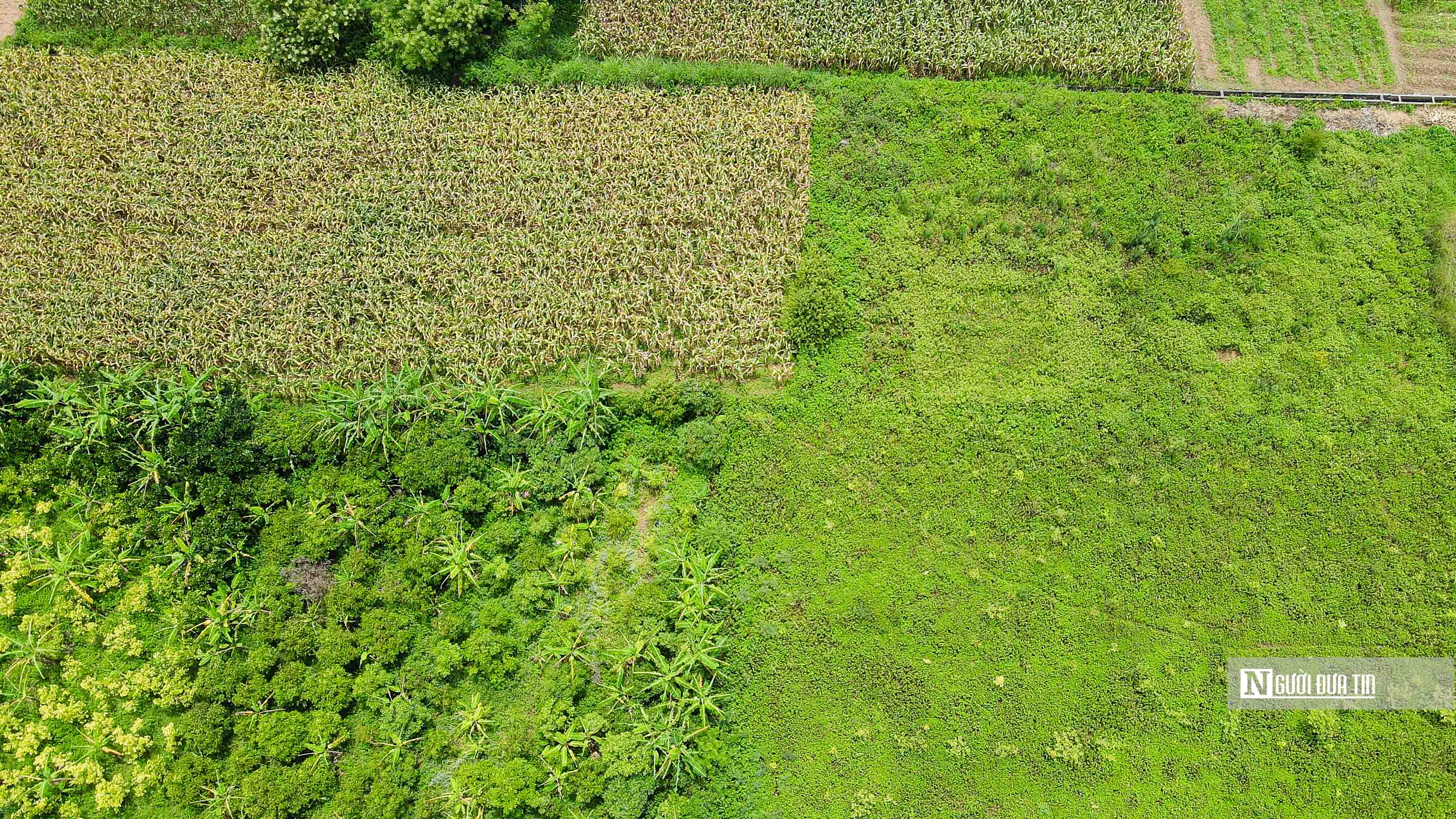 Qua đ&oacute;, Ban Thường vụ Tỉnh ủy chỉ đạo xử l&yacute; nghi&ecirc;m theo quy định c&aacute;c tập thể, c&aacute; nh&acirc;n c&oacute; li&ecirc;n quan để xảy ra sai phạm.