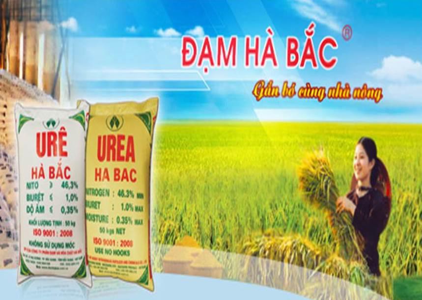 Đạm H&#224; Bắc bị nghi ngờ về khả năng hoạt động li&#234;n tục: Chủ nợ lớn nhất l&#224; VietinBank? - Ảnh 1