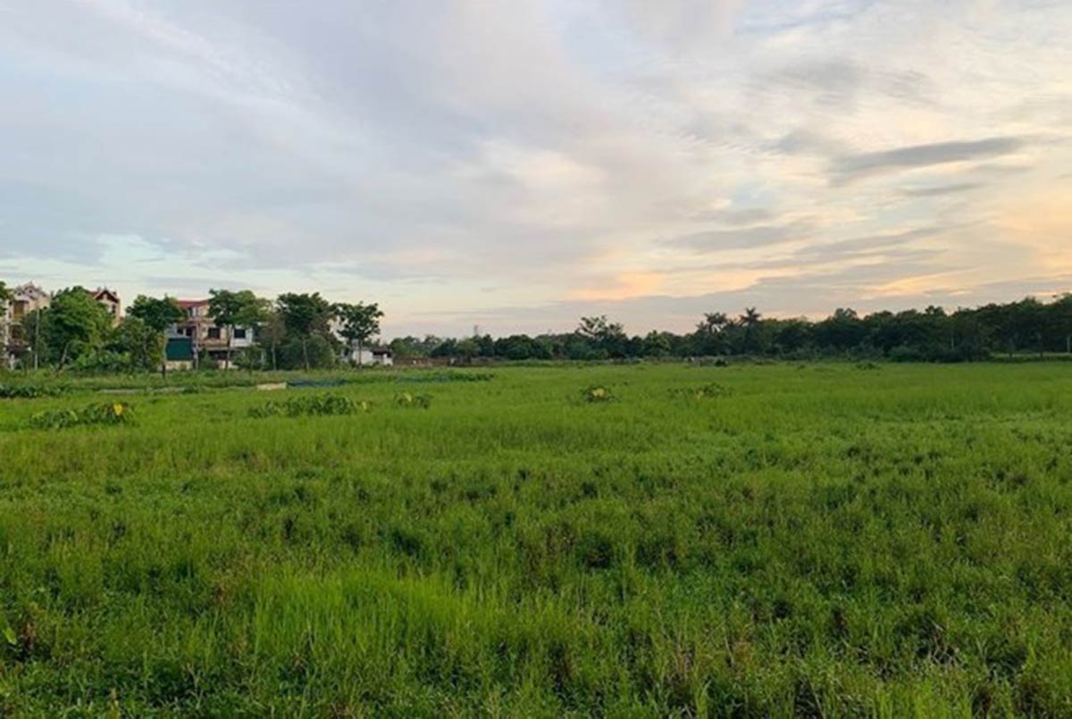 Gi&#225; đền b&#249; đất n&#244;ng nghiệp tăng, lo đầu cơ tạo s&#243;ng gom h&#224;ng? - Ảnh 1