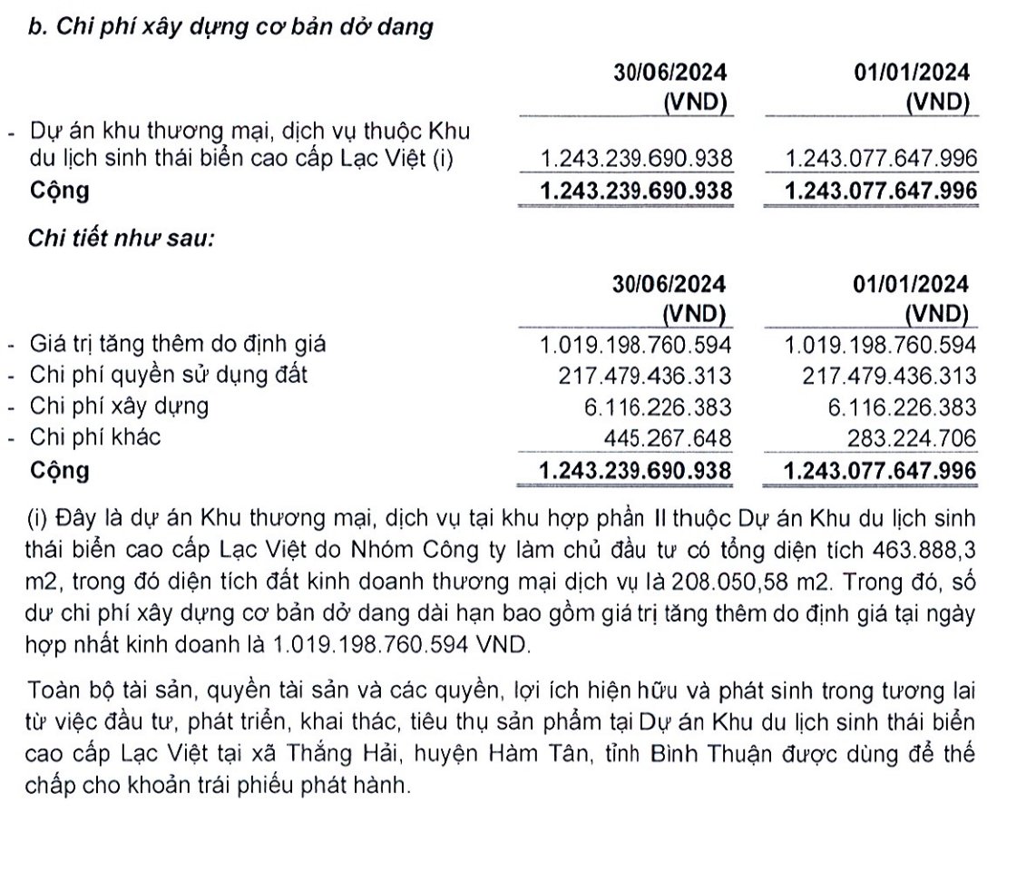 B&aacute;o c&aacute;o t&agrave;i ch&iacute;nh qu&yacute; II/2024