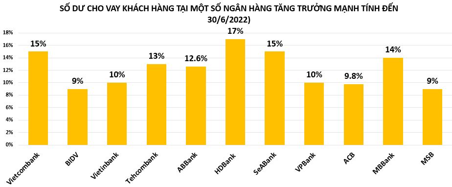 Tăng trưởng t&#237;n dụng cao nhất trong v&#242;ng 10 năm qua, loạt nh&#224; băng đang cạn &#39;room&#39; - Ảnh 3