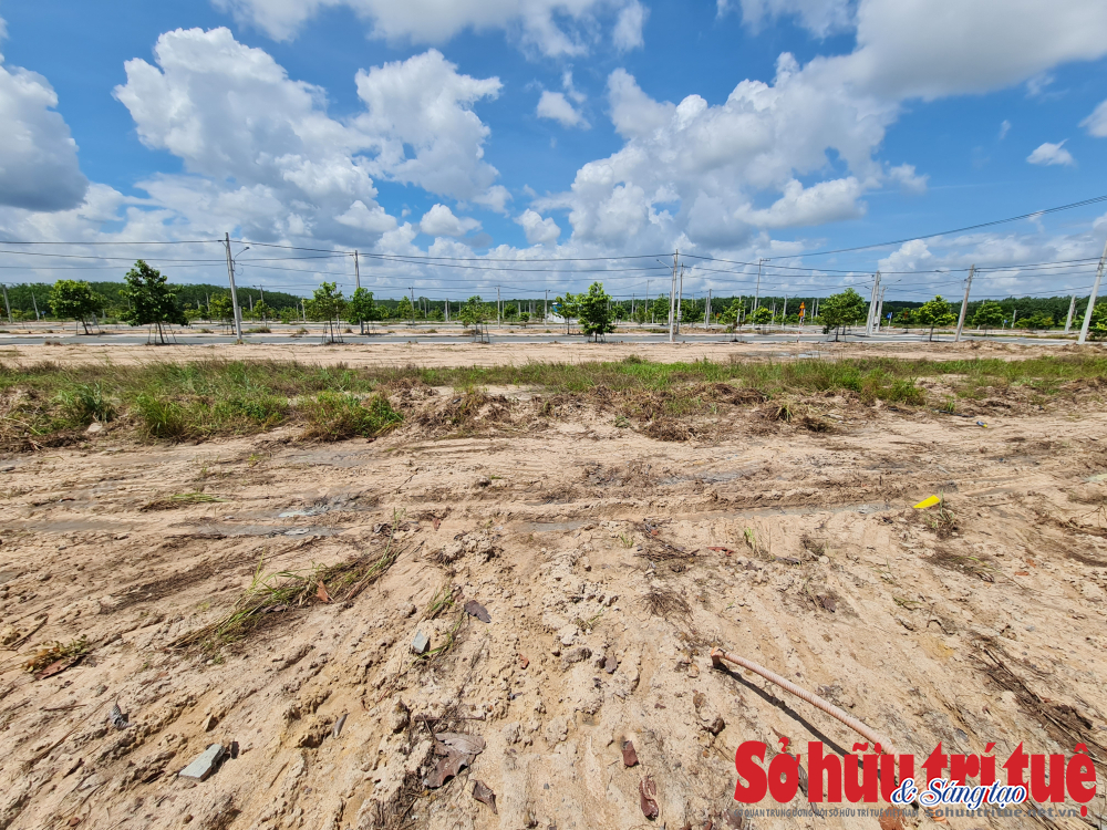 Xung quanh khu đất dự &aacute;n l&agrave; c&aacute;c rừng c&acirc;y cao su.