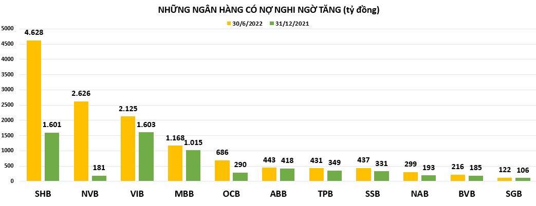 Nợ nghi ngờ mất vốn tại ng&#226;n h&#224;ng n&#224;o tăng nhanh nhất? - Ảnh 1
