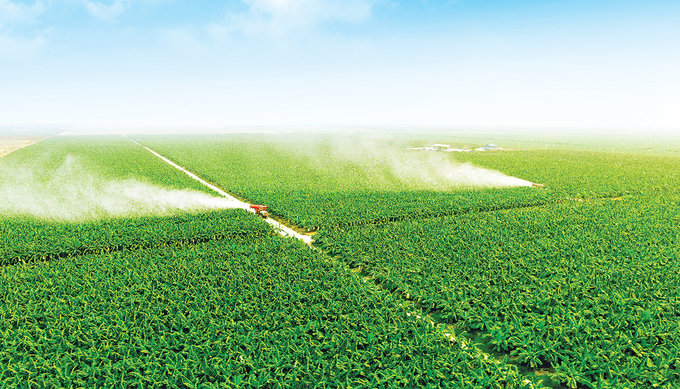 Mới đ&acirc;y, CTCP Ho&agrave;ng Anh Gia Lai (m&atilde; Hose: HAG) tiếp tục d&ugrave;ng 30 triệu cổ phần của c&ocirc;ng ty con để l&agrave;m t&agrave;i sản đảm bảo cho một c&ocirc;ng ty con kh&aacute;c l&agrave; Hưng Thắng Lợi Gia Lai vay 500 tỷ đồng để bổ sung vốn lưu động.