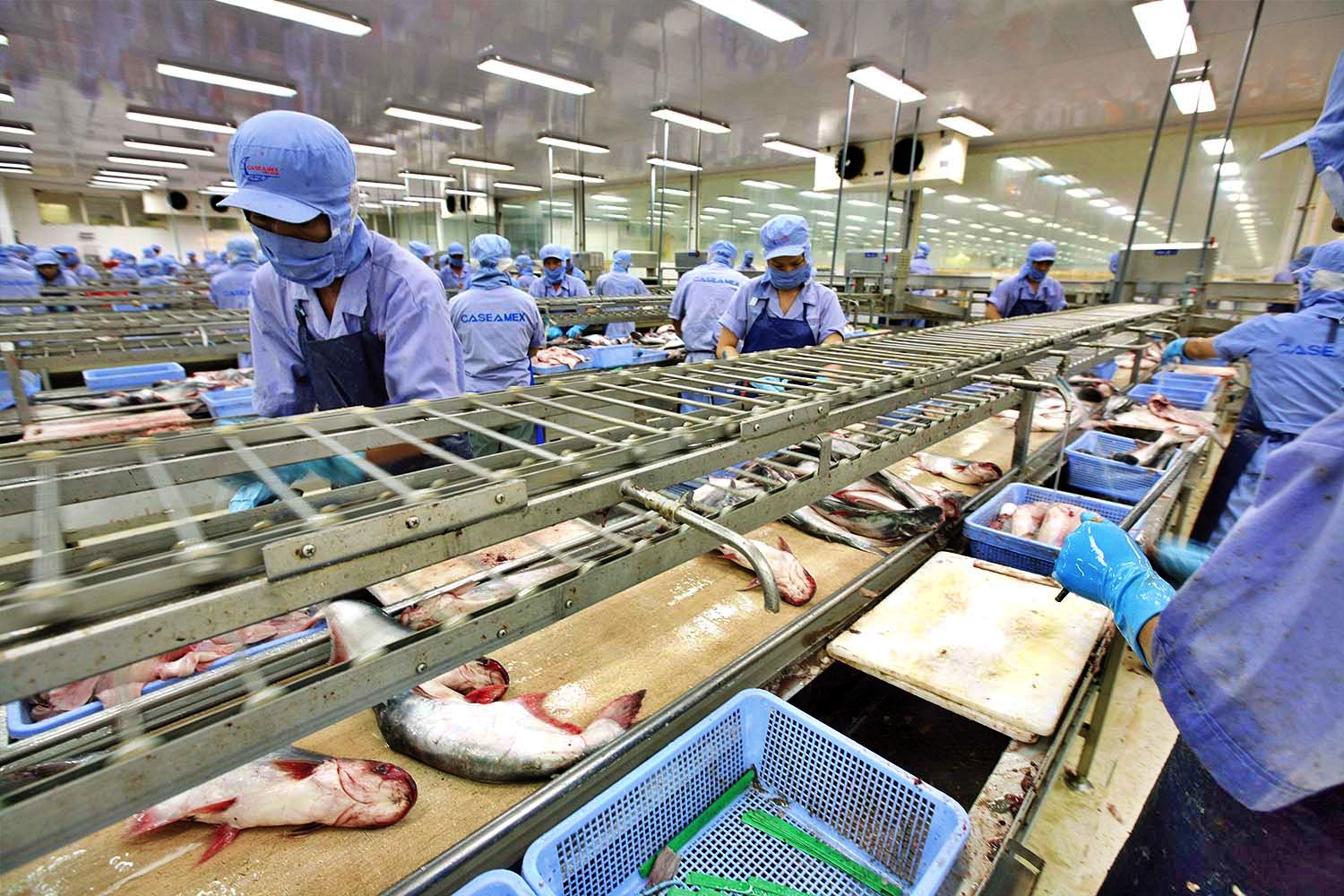 Việc sản xuất kinh doanh mặt h&agrave;ng thủy sản đang gặp kh&oacute; v&igrave; gi&aacute; b&aacute;n đầu ra.