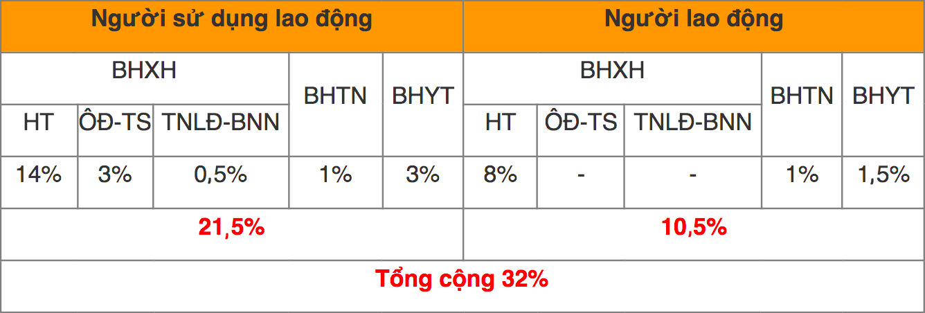 Mức đóng BHXH bắt buộc, BHTN, BHYT mới nhất đối với người lao động - Ảnh 4