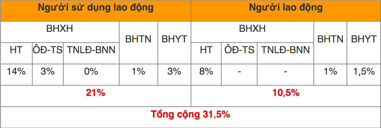 Mức đóng BHXH bắt buộc, BHTN, BHYT mới nhất đối với người lao động - Ảnh 2