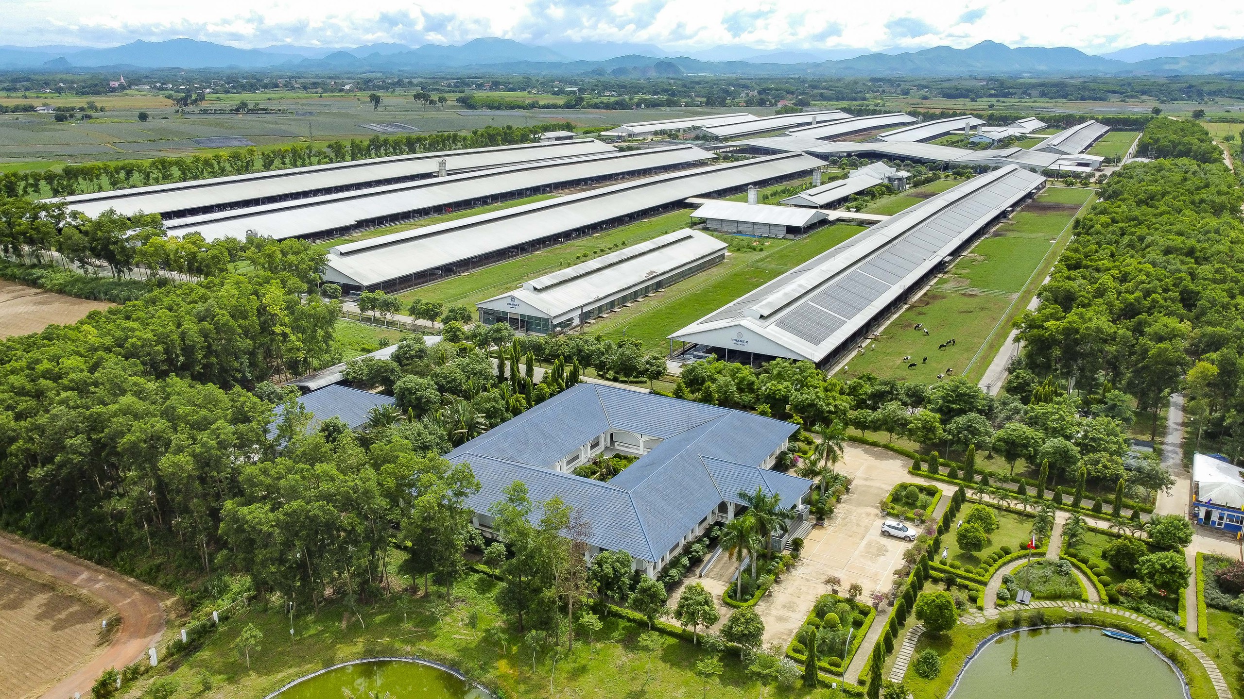 Hệ thống 15 trang trại đạt chuẩn Organic ch&acirc;u &Acirc;u v&agrave; Global S.L.P l&agrave; nền tảng gi&uacute;p Vinamilk chủ động nguồn nguy&ecirc;n liệu chất lượng cao (Ảnh: Minh Anh).