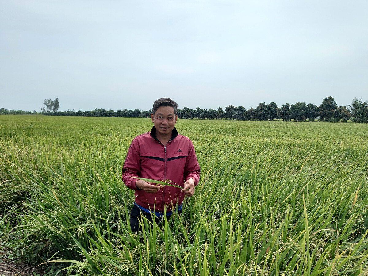 Anh Lưu Văn Đ&igrave;nh tr&uacute;ng m&ugrave;a bội thu khi đặt niềm tin v&agrave;o sản phẩm NPK Ph&uacute; Mỹ. &nbsp;