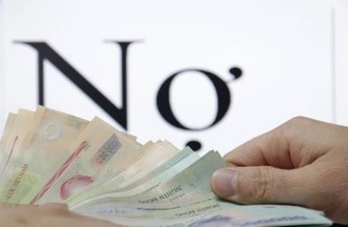 C&#244;ng ty Đại Dương v&#224; h&#224;ng loạt doanh nghiệp Ninh B&#236;nh nợ thuế - Ảnh 1