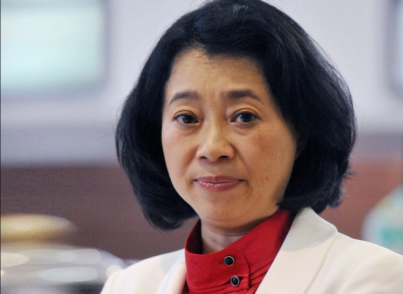 B&agrave; Đặng Thị Ho&agrave;ng Yến- Chủ tịch HĐQT T&acirc;n Tạo.&nbsp;