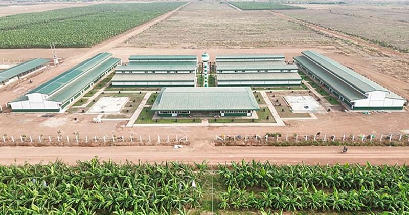 Khu nh&agrave; ở được THACO AGRI đầu tư khang trang, tiện nghi. Ảnh: THACO AGRI