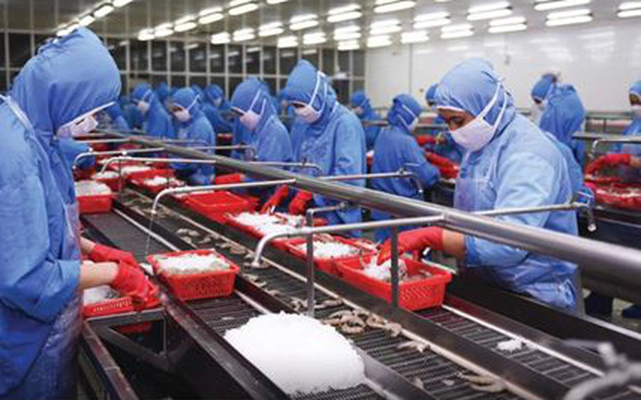 Hiệp hội thủy sản: Nguy cơ chuỗi cung ứng bị đứt g&#227;y, doanh nghiệp phải ngừng hoạt động - Ảnh 1