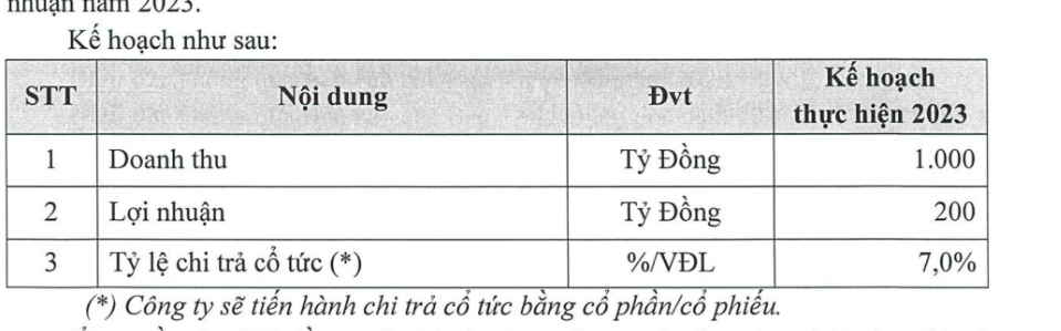 Năm 2023, HDTC đặt kế hoạch doanh thu đạt mức 1.000 tỷ đồng.