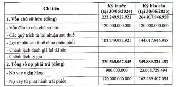 Một v&agrave;i chỉ ti&ecirc;u t&agrave;i ch&iacute;nh của Bkav Pro sau 6 th&aacute;ng đầu năm 2025.
