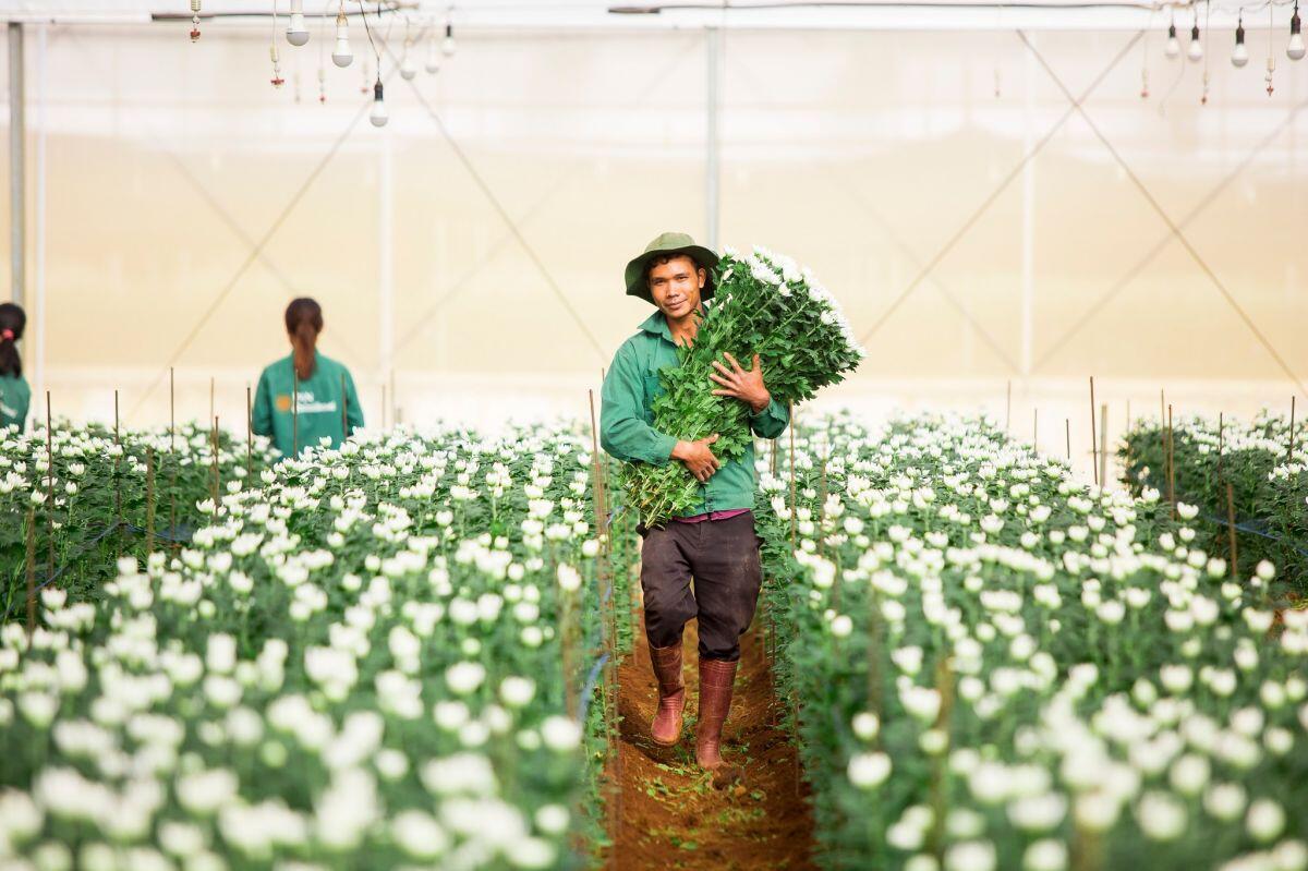 Kết th&uacute;c nửa đầu năm 2025, PAN Farm ghi nhận lợi nhuận sau thuế 265 tỷ đồng, song nợ vay ng&acirc;n h&agrave;ng cũng leo thang, cao gấp 4,1 lần so với c&ugrave;ng kỳ năm trước.