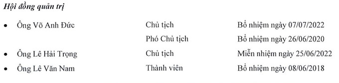 Thanh vi&ecirc;n HĐQT thay mới ho&agrave;n to&agrave;n sau kiểm to&aacute;n c&ocirc;ng bố Danameco lỗ gần 300%.