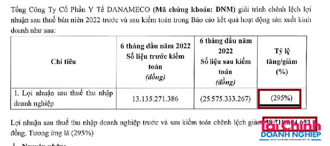 Sau kiểm to&aacute;n, Danameco b&aacute;o từ l&atilde;i 13 tỷ đồng sang lỗ 25 tỷ đồng, tương ứng &acirc;m 295%.