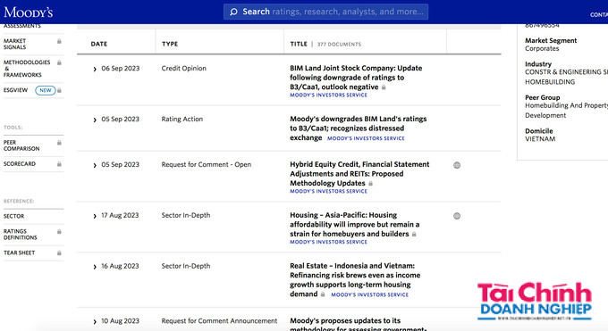 Việc hạ xếp hạng nh&oacute;m doanh nghiệp của BIM Land phản &aacute;nh c&aacute;c ch&iacute;nh s&aacute;ch t&agrave;i ch&iacute;nh yếu k&eacute;m của c&ocirc;ng ty v&agrave; rủi ro quản trị gia tăng.