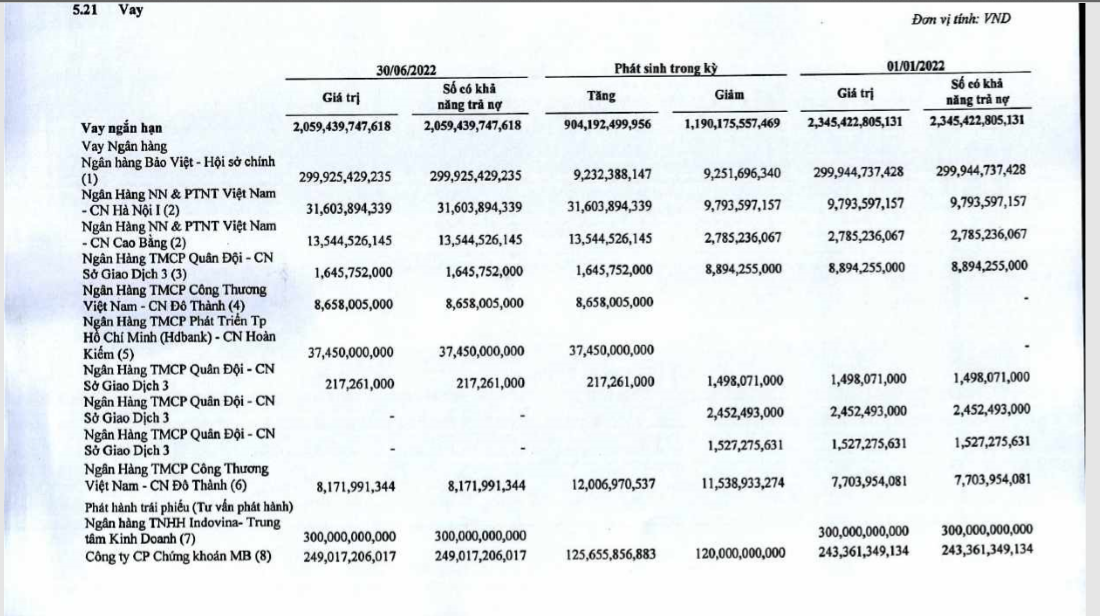 Chi tiết một số khoản vay của HPX.