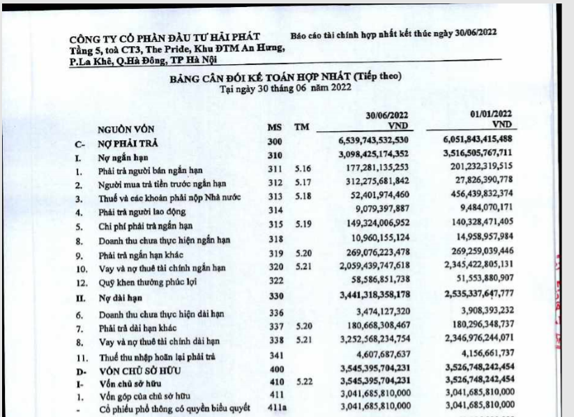Nợ phải trả tại Hải Ph&aacute;t Invest gần gấp đ&ocirc;i vốn chủ sở hữu.