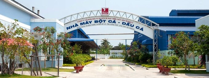 Cổ phiếu DAT tăng gần 40% trong một tuần, HoSE y&#234;u cầu giải tr&#236;nh - Ảnh 1