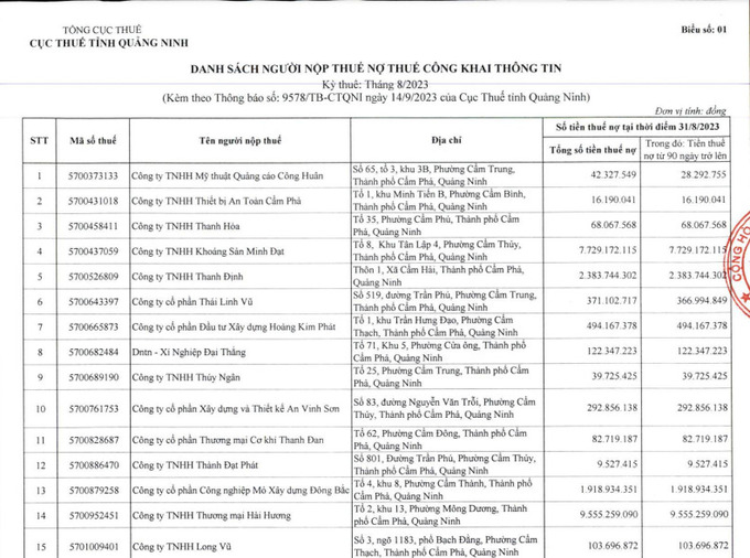 Danh s&aacute;ch c&ocirc;ng khai người nợ thuế, ph&iacute;.