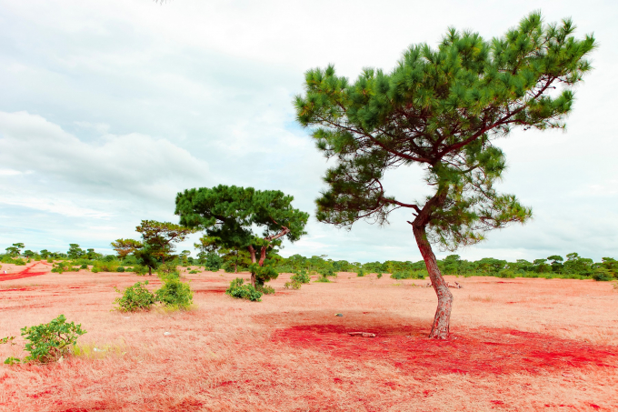 Gia Lai tập trung nguồn lực thu h&uacute;t nh&agrave; đầu tư chiến lược cho h&agrave;ng loạt dự &aacute;n.