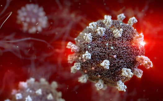 Giáo sư Oxford dự đoán đầy tích cực về SARS-CoV-2: Rồi cũng chỉ như cảm lạnh mà thôi! - Ảnh 1