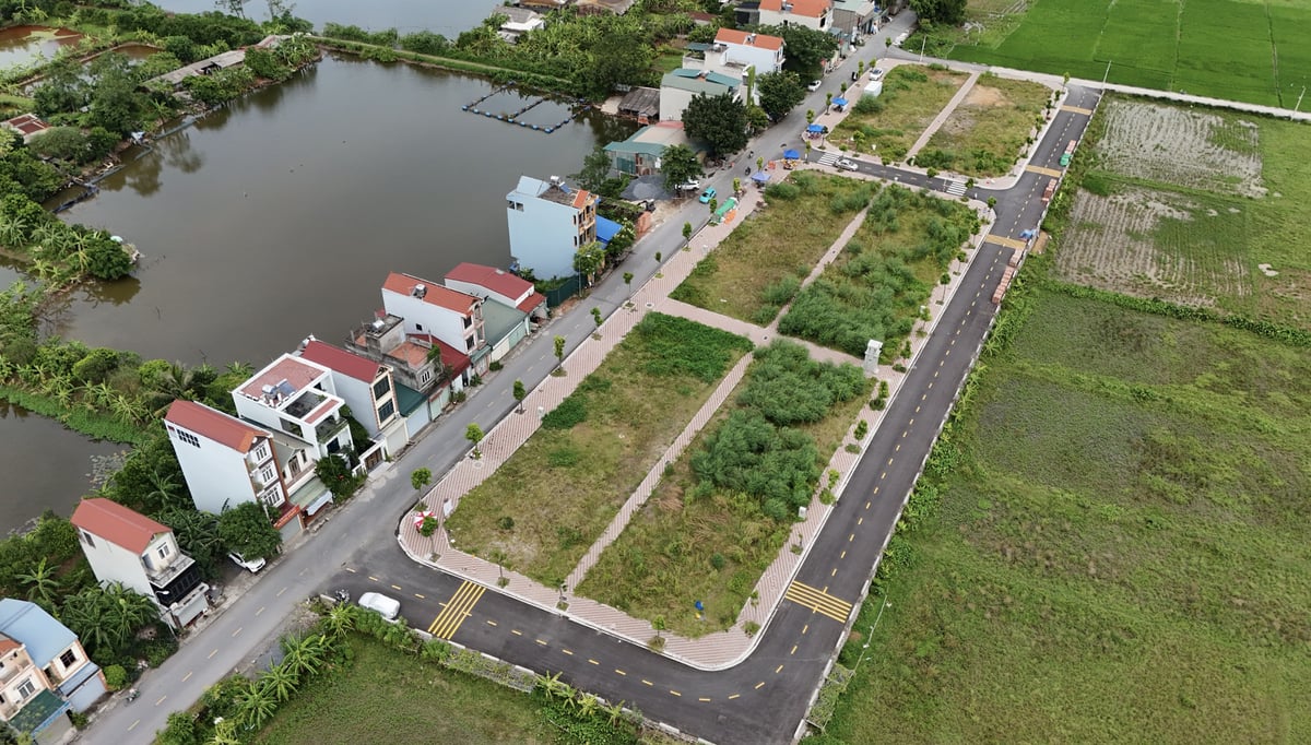 Đề xuất tiền đặt cọc đấu gi&#225; đất bằng 50% gi&#225; khởi điểm - Ảnh 1