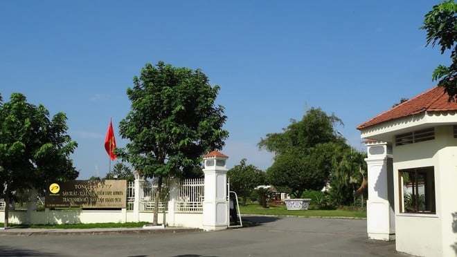 Bình Dương: Sản xuất - Xuất nhập khẩu Bình Dương bị cưỡng chế thuế hơn 144 tỷ đồng - Ảnh 1