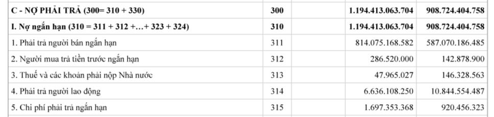Hiện hệ số nợ phải trả tr&ecirc;n vốn chủ sở hữu của Ho&agrave;ng H&agrave; Mobile l&agrave; gấp hơn 9 lần