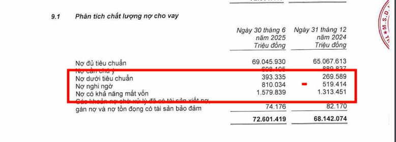 B&aacute;o c&aacute;o t&agrave;i ch&iacute;nh của BVBank