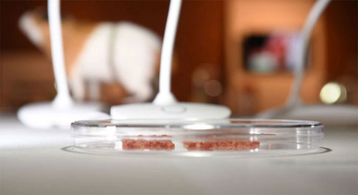 Singapore sản xuất thành công thịt nhân tạo bằng từ trường - Ảnh 1