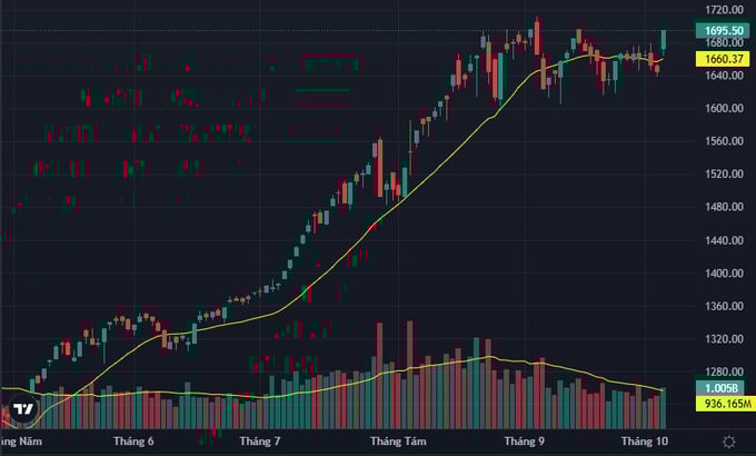 VN-Index đ&#243;ng cửa tăng gần 50 điểm - Ảnh 1