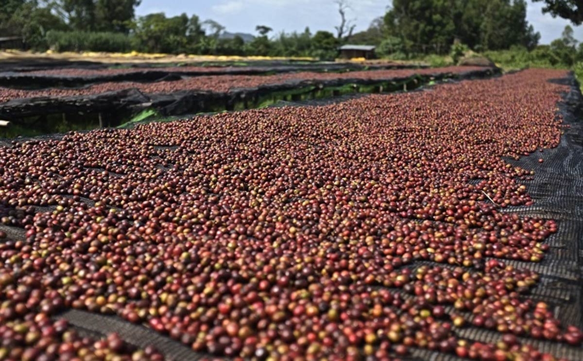 Chuyện lạ: DN có 3 nhân viên, sếp đồng loạt từ chức, cổ phiếu tăng giá gấp 8 lần - Ảnh 1