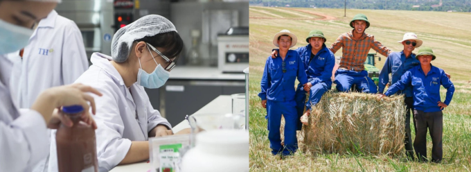 Người TH, dù trong văn phòng, trên cánh đồng hay các nhà máy... đều hài lòng với công việc.  