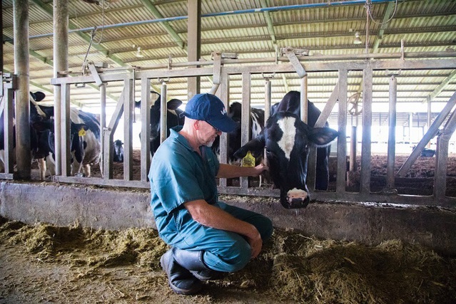 Hơn 10 năm qua, nhiều chuyên gia quốc tế vẫn gắn bó với TH true MILK từ những ngày đầu khởi dựng.  