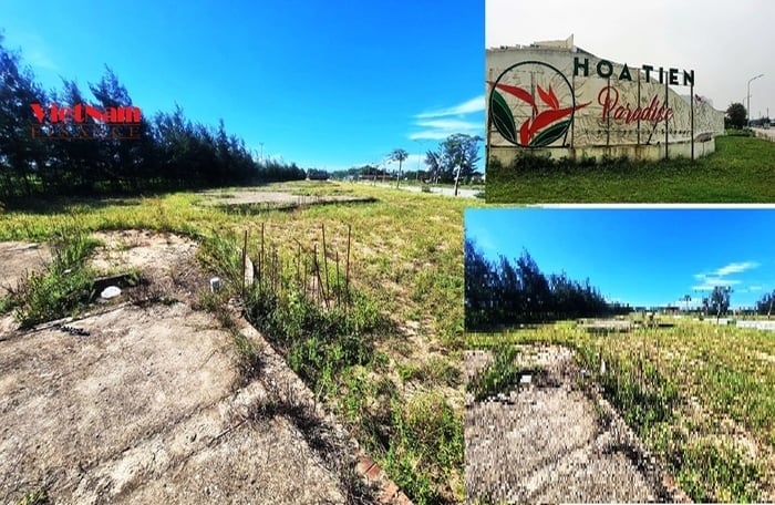 Mặt bằng c&aacute;c căn biệt thự Villas trong dự &aacute;n trước khi x&acirc;y dựng...