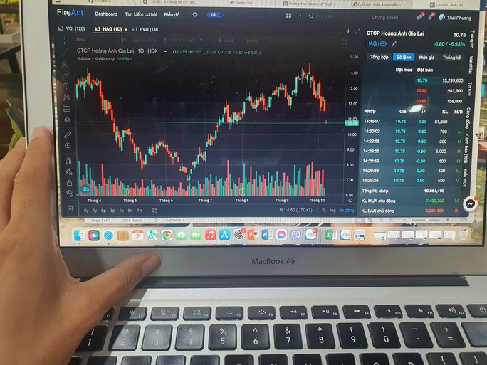 Tho&#225;t diện kiểm so&#225;t, cổ phiếu HAG chuyển sang diện cảnh b&#225;o từ ng&#224;y 11/10 - Ảnh 1