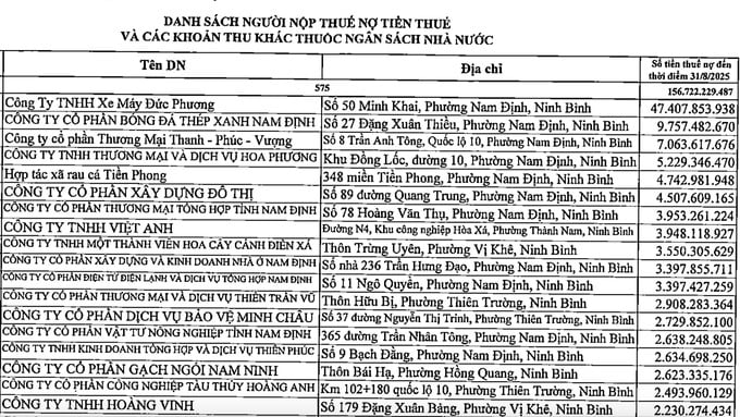 C&ocirc;ng ty Cổ phần B&oacute;ng đ&aacute; Th&eacute;p xanh Nam Định c&ograve;n nợ tiền thuế hơn 9,7 tỷ đồng.