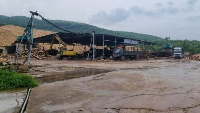 Địa điểm sản xuất, chế biến gỗ dăm.