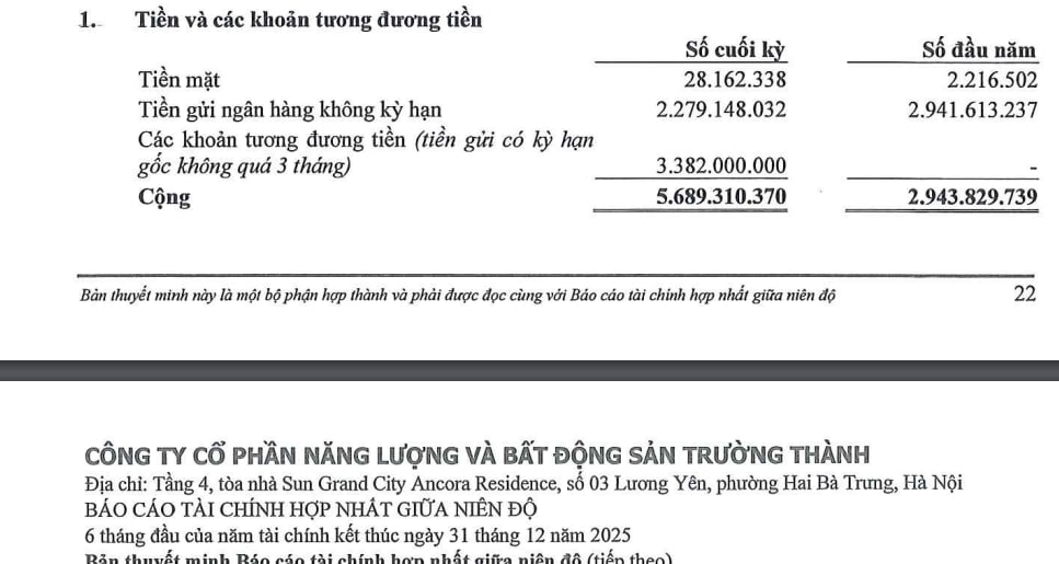 Năng lượng v&#224; BĐS Trường Th&#224;nh: T&#224;i sản h&#224;ng ngh&#236;n tỷ, bị n&#234;u t&#234;n chậm đ&#243;ng BHXH - Ảnh 1