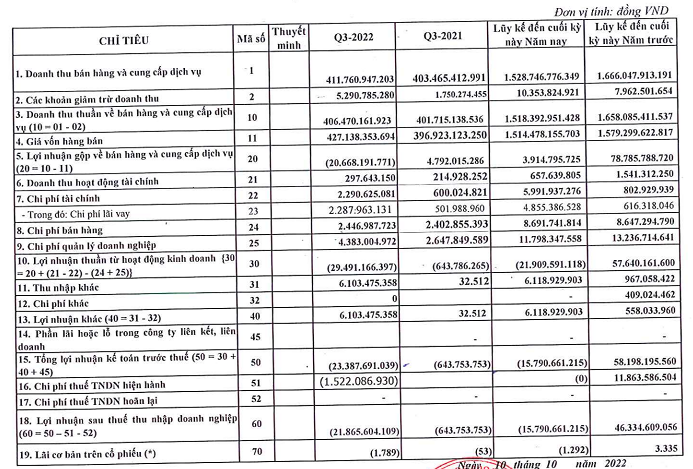 Nguồn: B&aacute;o c&aacute;o t&agrave;i ch&iacute;nh qu&yacute; III/2022 của TDS.